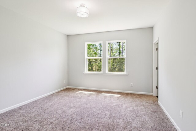 244 Potomac River St, Garner, NC 27529 - photo 14