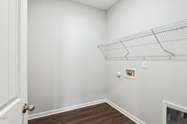 244 Potomac River St, Garner, NC 27529 - photo 17
