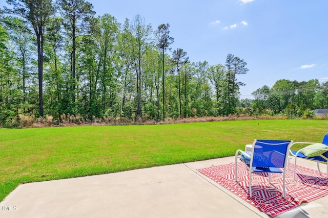 244 Potomac River St, Garner, NC 27529 - photo 24