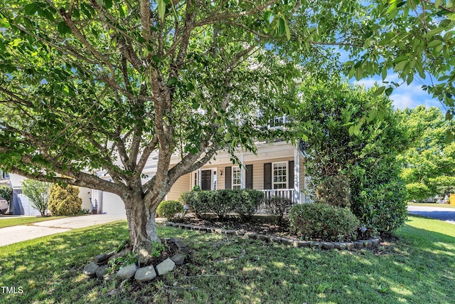 obstructed view of property with a front lawn and driveway