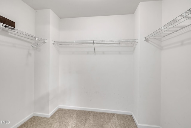 walk in closet featuring carpet