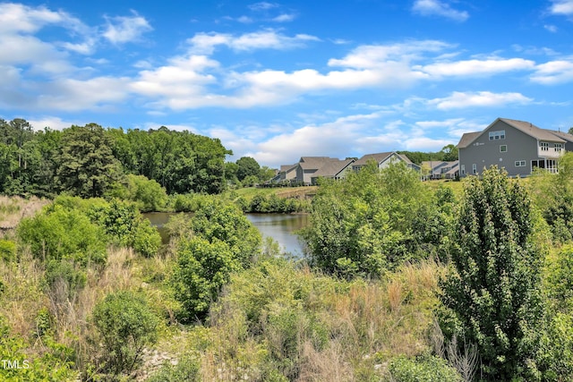 2100 Curry Meadow Way, Durham, NC 27703 - water view featuring nearby suburban area