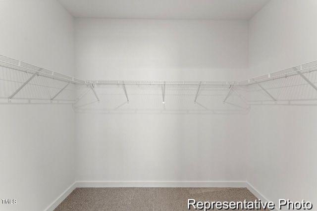 spacious closet with carpet floors