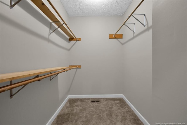 spacious closet with carpet and visible vents