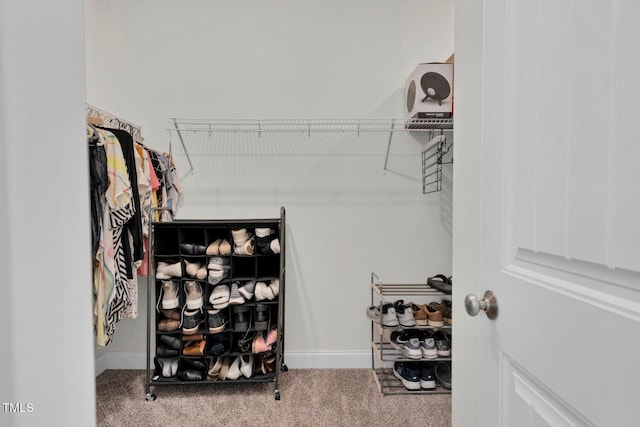 spacious closet with carpet floors