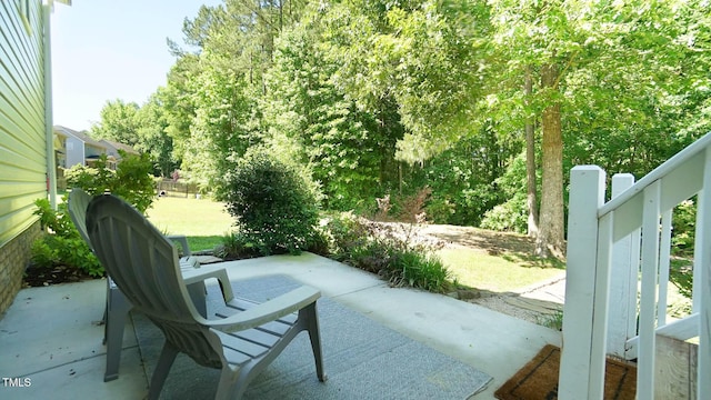 65 Wood Green Dr, Wendell, NC 27591 - view of patio / terrace