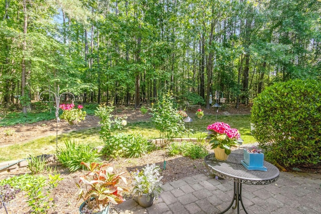 view of yard with a patio