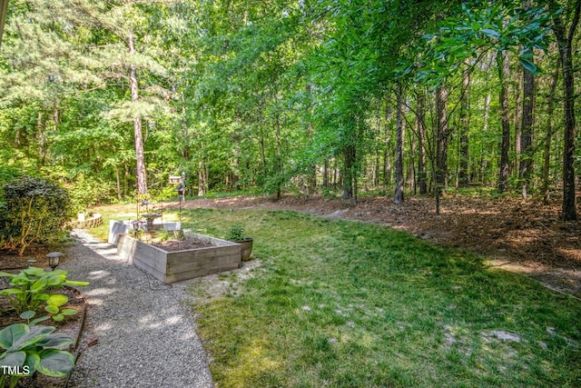 view of yard featuring a wooded view and a garden