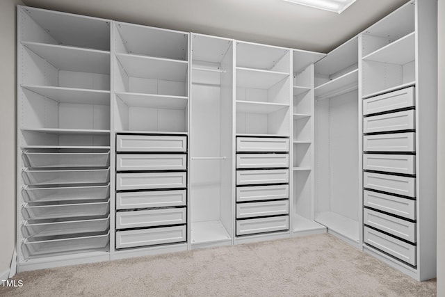 walk in closet with carpet floors