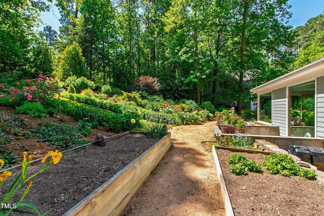 view of yard featuring a garden