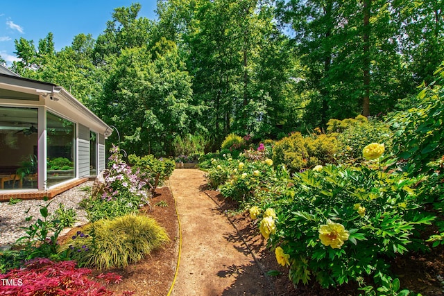 view of yard with a sunroom