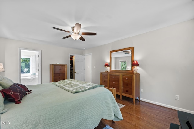 bedroom featuring wood finished floors, baseboards, a spacious closet, a ceiling fan, and ensuite bath