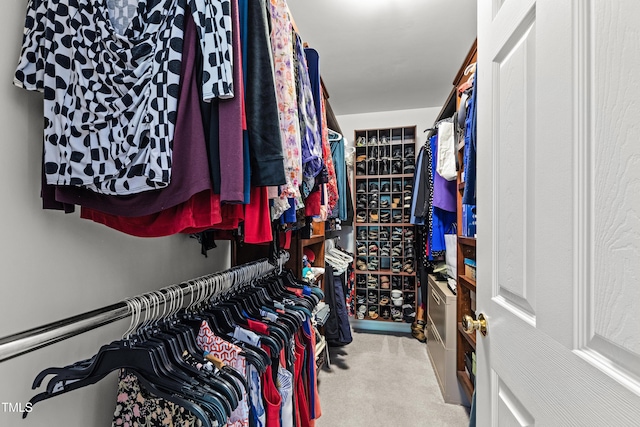 walk in closet with carpet flooring