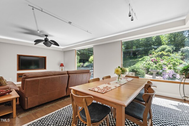 dining space with wood finished floors, track lighting, and a ceiling fan