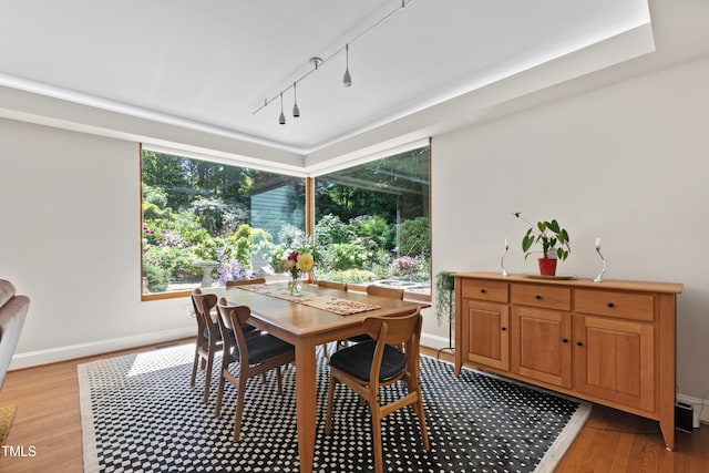 dining room featuring light wood-style flooring, rail lighting, and baseboards