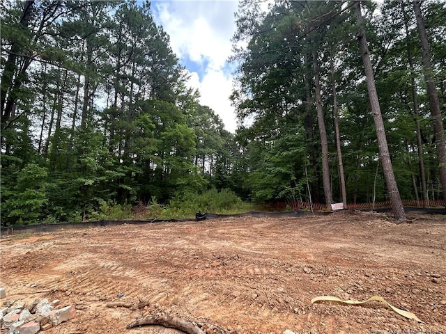 194 Landon Rdg, Sanford, NC 27330 - view of local wilderness