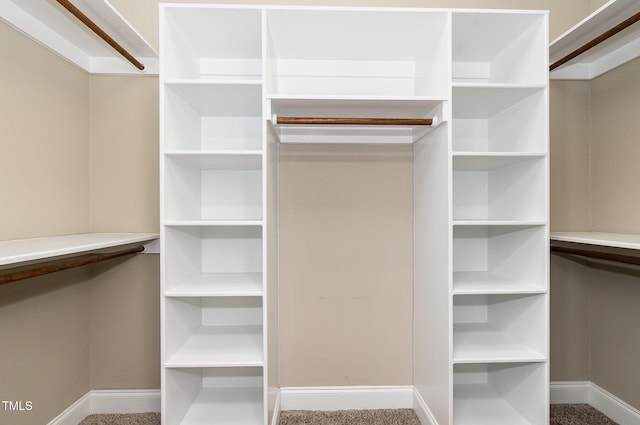 91 Carsons Creek Trl, Wendell, NC 27591 - view of spacious closet