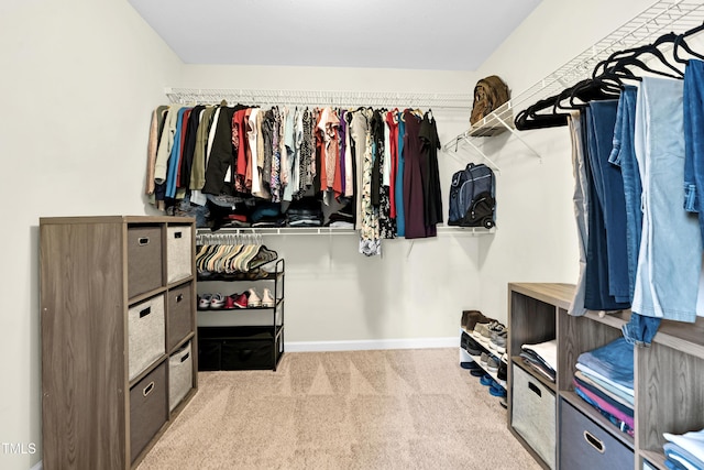 4108 Lady Slipper Ln, Durham, NC 27704 - spacious closet featuring carpet floors