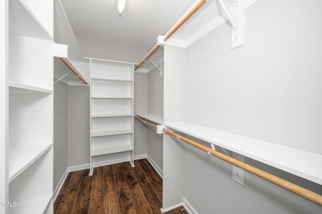 spacious closet featuring dark wood finished floors