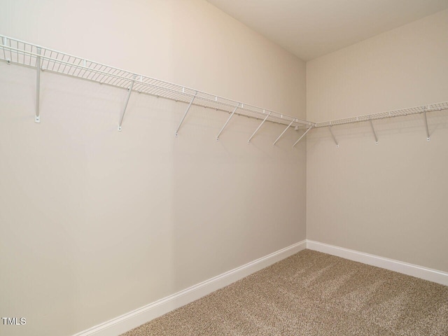 spacious closet with carpet