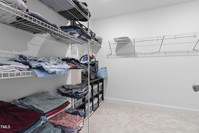 spacious closet featuring carpet flooring