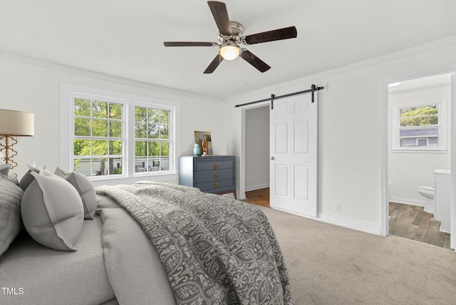 183 Red Hill Loop Rd, Warrenton, NC 27589 - bedroom with baseboards, multiple windows, a barn door, and carpet floors