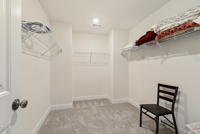 spacious closet featuring carpet