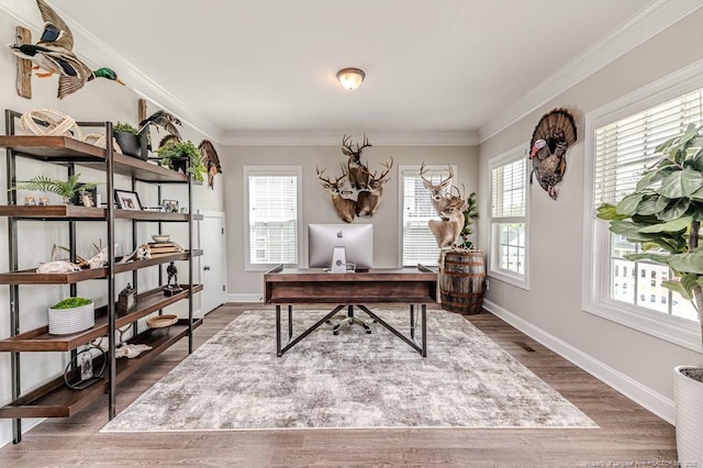office space featuring wood finished floors, baseboards, and ornamental molding