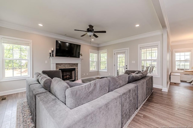 living area featuring a fireplace, ceiling fan, wood-type flooring, and plenty of natural light