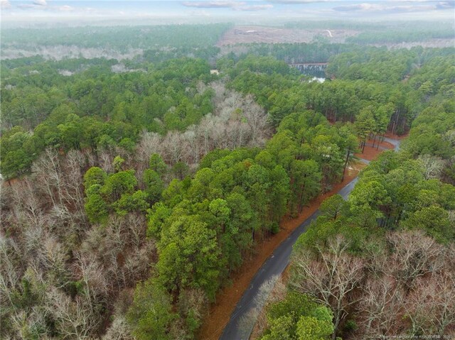 221 Pebble Dr, West End, NC 27376