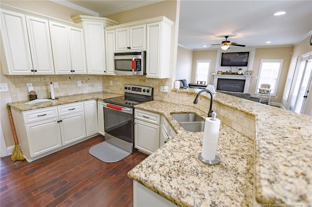 kitchen featuring stainless steel appliances, ornamental molding, and a sink