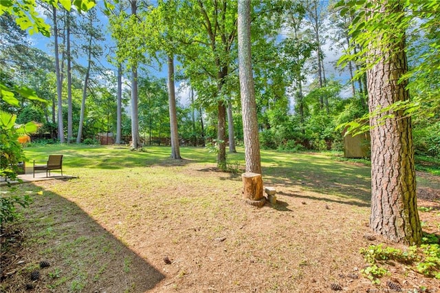 1618 Hickory Ridge Ct, Fayetteville, NC 28304 - view of grassy yard