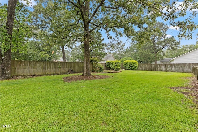 314 Lane Rd, Dunn, NC 28334 - photo 59