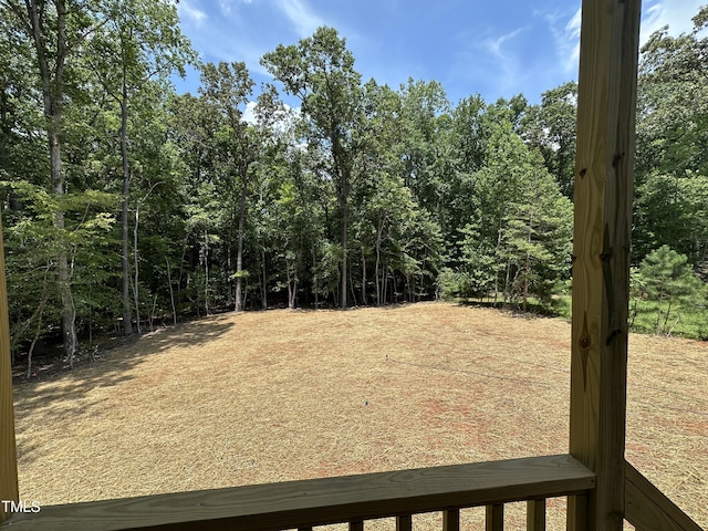 188 Buckaroo Dr, Louisburg, NC 27549 - photo 16