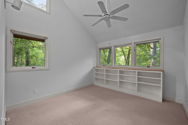 spare room with carpet flooring, healthy amount of natural light, lofted ceiling, and a textured ceiling