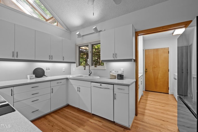 kitchen featuring dishwasher, a sink, light wood-type flooring, a textured ceiling, and light countertops