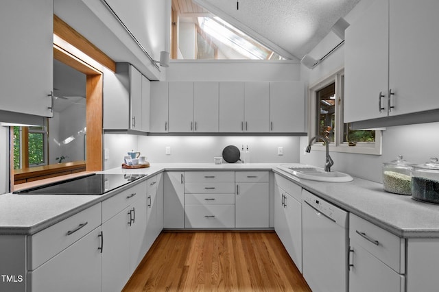 kitchen featuring dishwasher, a sink, black electric stovetop, light wood-style flooring, and light countertops