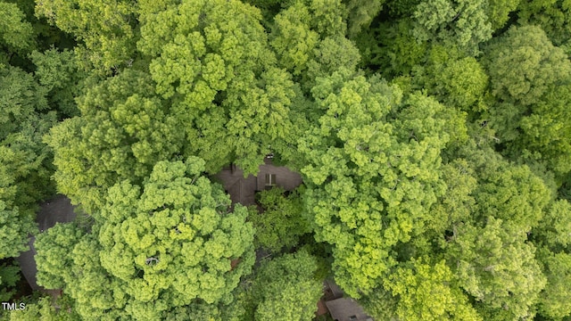 aerial view of property's location