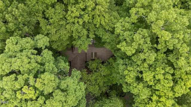 aerial overview of property's location