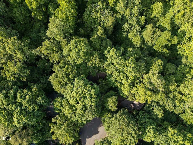 aerial view of property's location