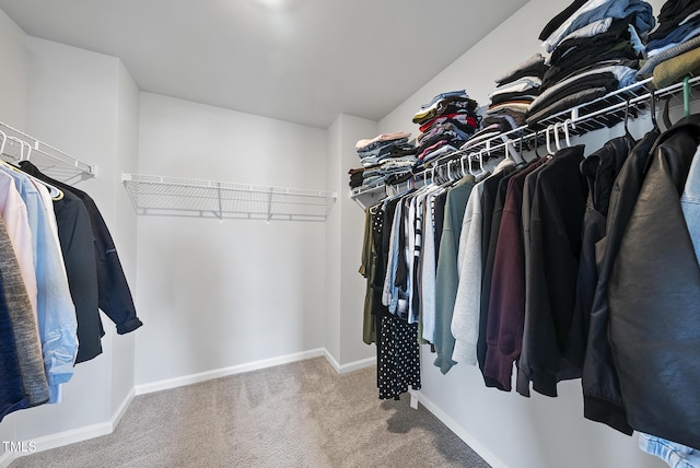 walk in closet with carpet flooring
