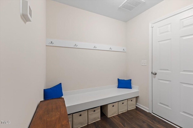 mudroom featuring wood finished floors