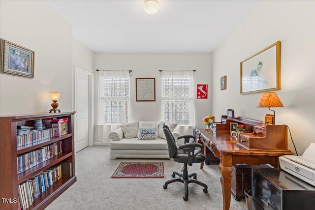 home office with carpet floors