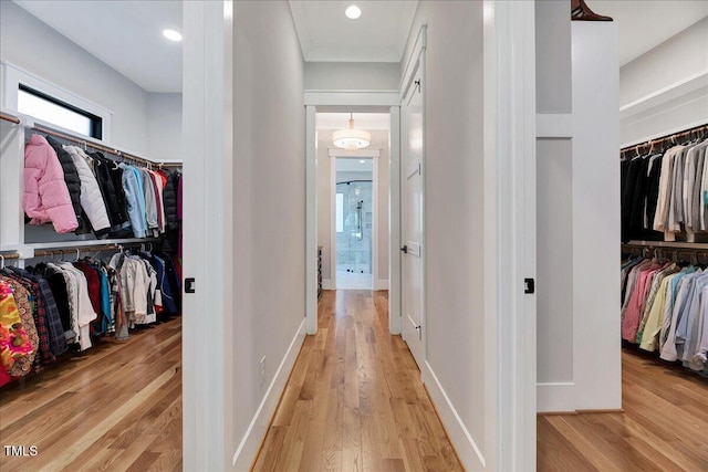 spacious closet featuring light wood-style flooring