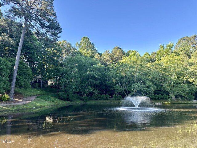 water view