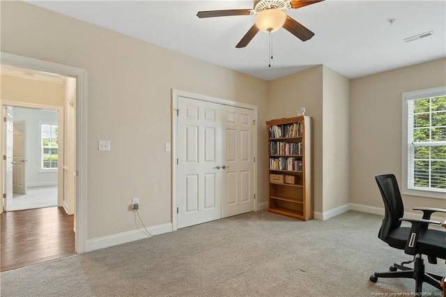 office featuring baseboards, ceiling fan, carpet flooring, and visible vents