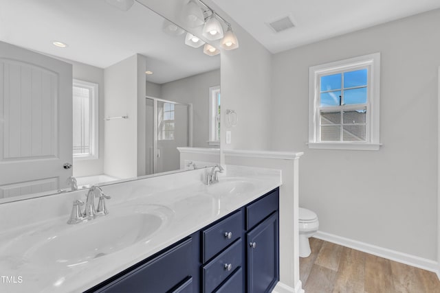 bathroom featuring baseboards, double vanity, a stall shower, wood finished floors, and plenty of natural light