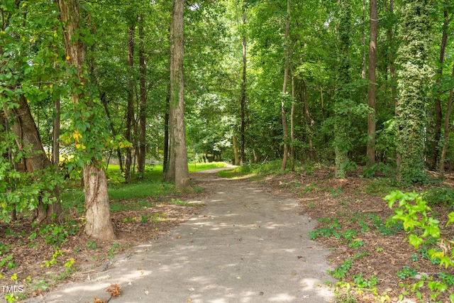 112 Nelson Ln, Clayton, NC 27527 - view of street with a wooded view