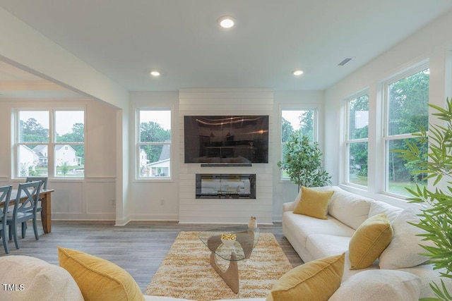 living room featuring a large fireplace, wood finished floors, and a healthy amount of sunlight