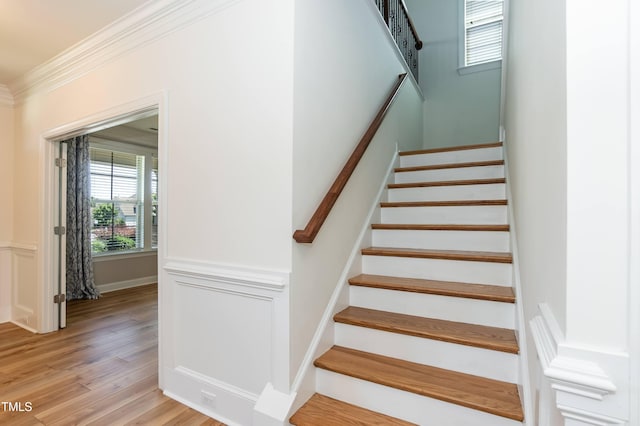 3536 Greenville Loop Rd, Wake Forest, NC 27587 - stairs featuring crown molding, healthy amount of natural light, wood finished floors, and a wainscoted wall